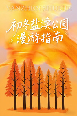 盐渎公园初冬漫步：邂逅水杉红叶与温暖故事