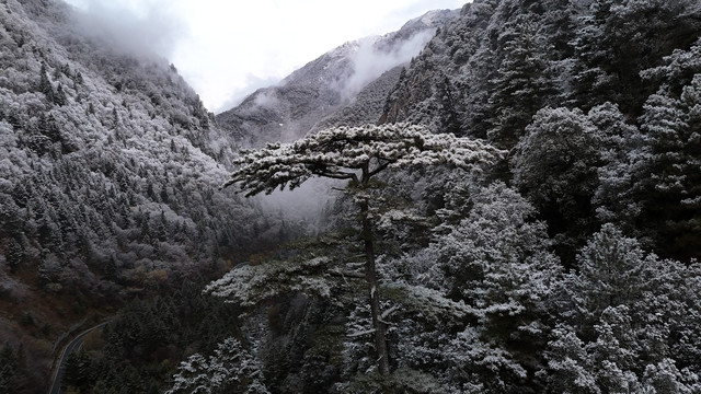 达古冰川冬日看雪记录：从山脚金猴海到海拔4860米