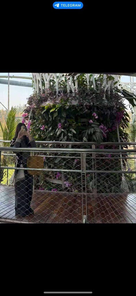 沐心